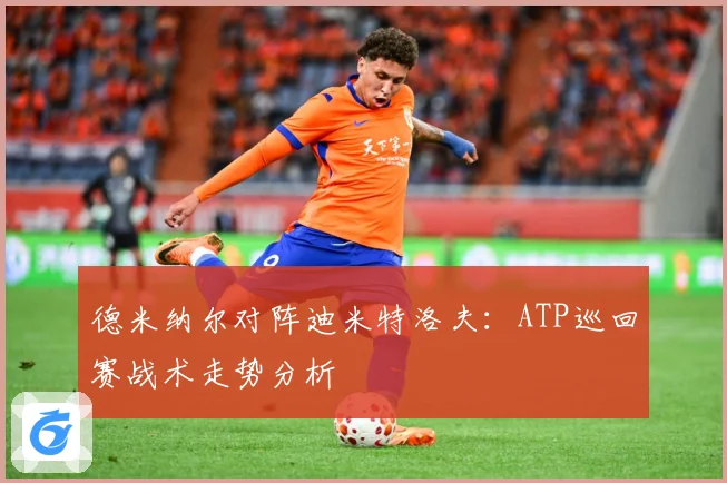 德米纳尔对阵迪米特洛夫：ATP巡回赛战术走势分析
