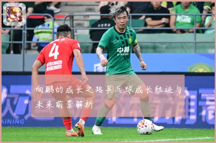 向鹏的成长之路乒乓球成长轨迹与未来前景解析
