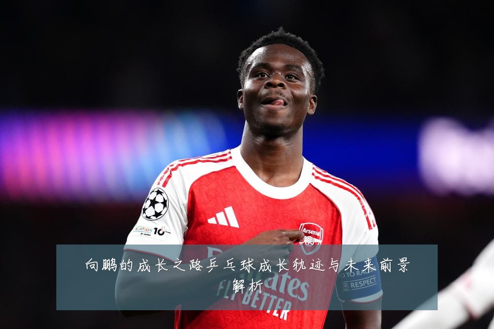 向鹏的成长之路乒乓球成长轨迹与未来前景解析
